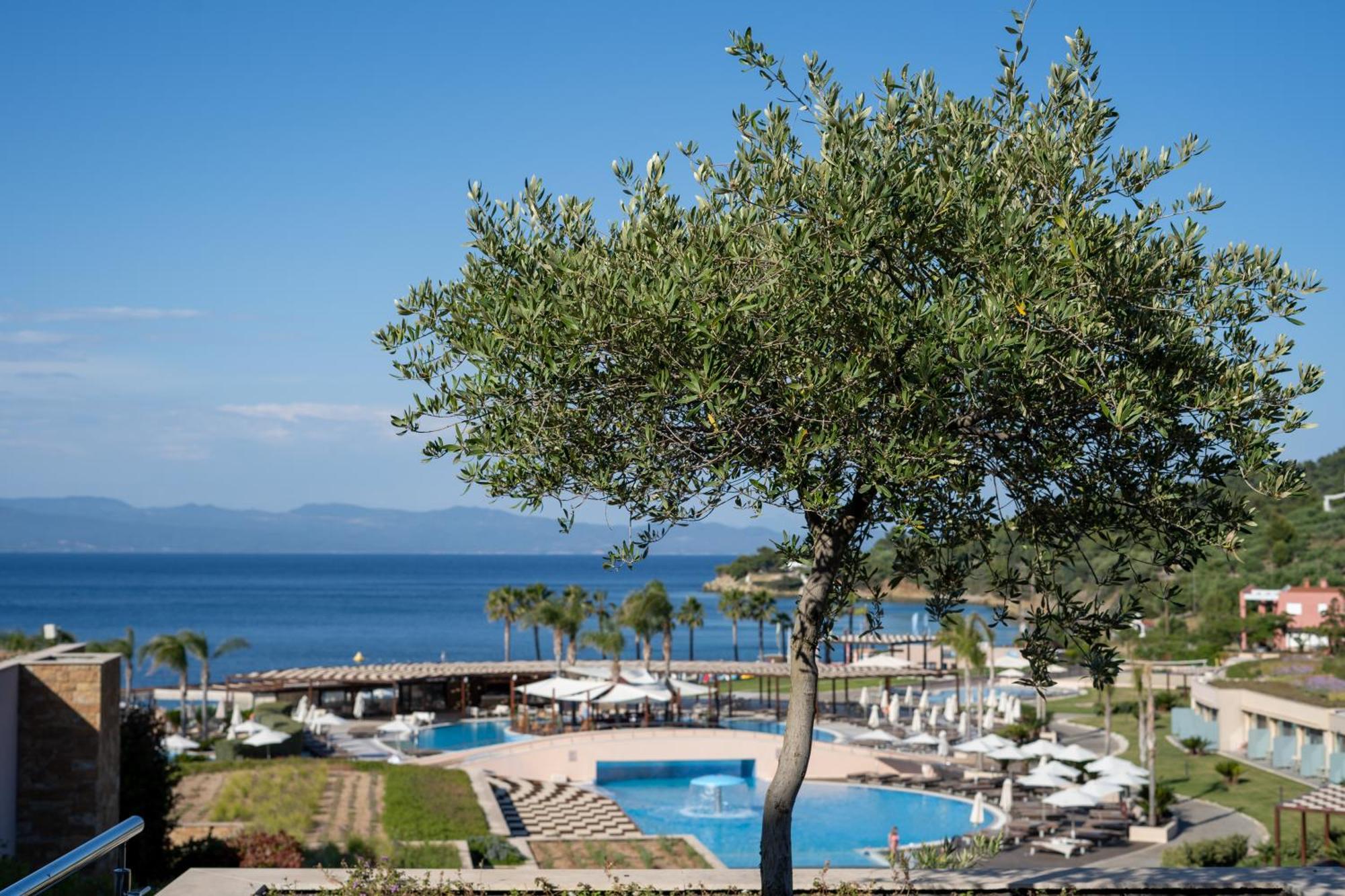 Miraggio Thermal 5*